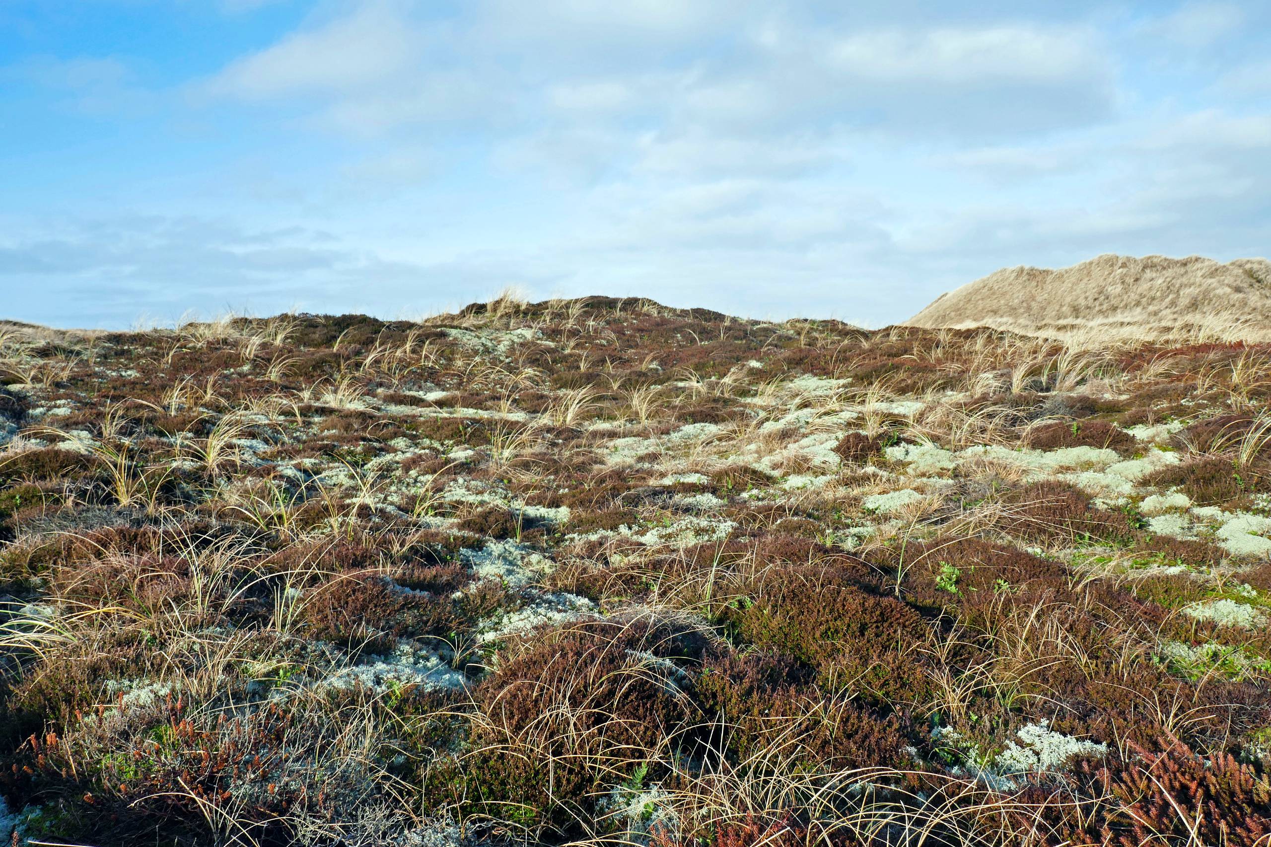 Thy Nationalpark
